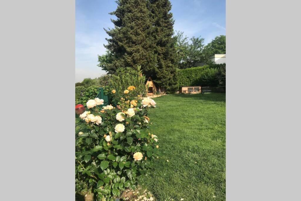 Appartement Region Esslingen - Naehe Messe - Flughafen - Stuttgart - Wohnen Und Arbeiten Auf Zeit In 120M2 Wohlfuehlatmosphaere - Ab 3 Uebernachtungen - Geeignet Fuer 4 Pers Incl Kinder - Beistellbett Moeglich - Kinder Und Tiere Willkommen - Garage F 알트바크 외부 사진